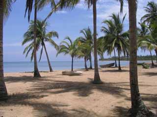 immobilier R�publique Dominicaine