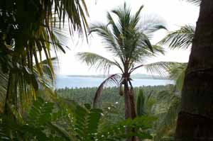 immobilier R�publique Dominicaine