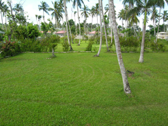 immobilier R�publique Dominicaine