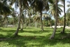 immobilier Las Terrenas