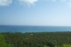 immobilier Las Terrenas