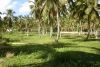 immobilier R�publique Dominicaine