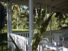 immobilier Las Terrenas