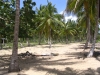 immobilier Las Terrenas