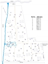 immobilier Las Terrenas