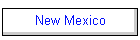 New Mexico