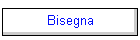 Bisegna