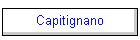 Capitignano