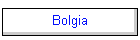 Bolgia