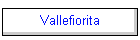 Vallefiorita