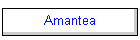 Amantea