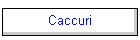 Caccuri