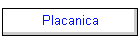 Placanica