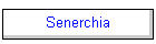 Senerchia