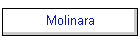 Molinara