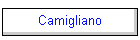 Camigliano