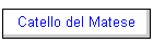 Catello del Matese