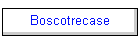 Boscotrecase