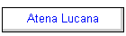 Atena Lucana