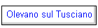 Olevano sul Tusciano
