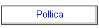 Pollica