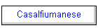 Casalfiumanese