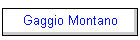 Gaggio Montano