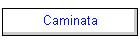 Caminata