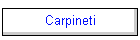 Carpineti