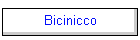 Bicinicco