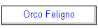 Orco Feligno