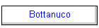 Bottanuco