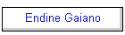 Endine Gaiano