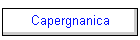 Capergnanica