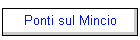 Ponti sul Mincio