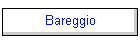 Bareggio
