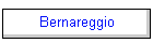 Bernareggio