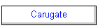 Carugate