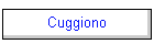 Cuggiono