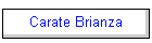 Carate Brianza