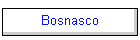 Bosnasco