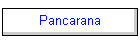 Pancarana