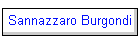 Sannazzaro Burgondi