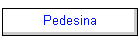 Pedesina