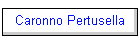 Caronno Pertusella
