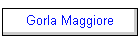 Gorla Maggiore