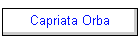 Capriata Orba