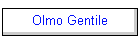 Olmo Gentile