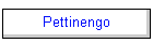 Pettinengo