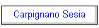 Carpignano Sesia